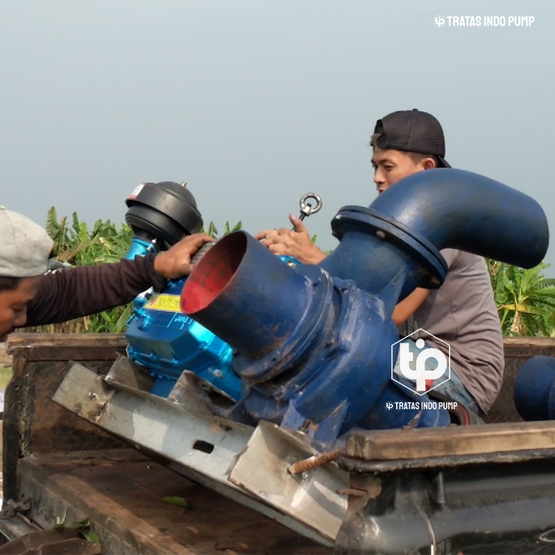 Pompa Kolam Ikan Pompa Intan