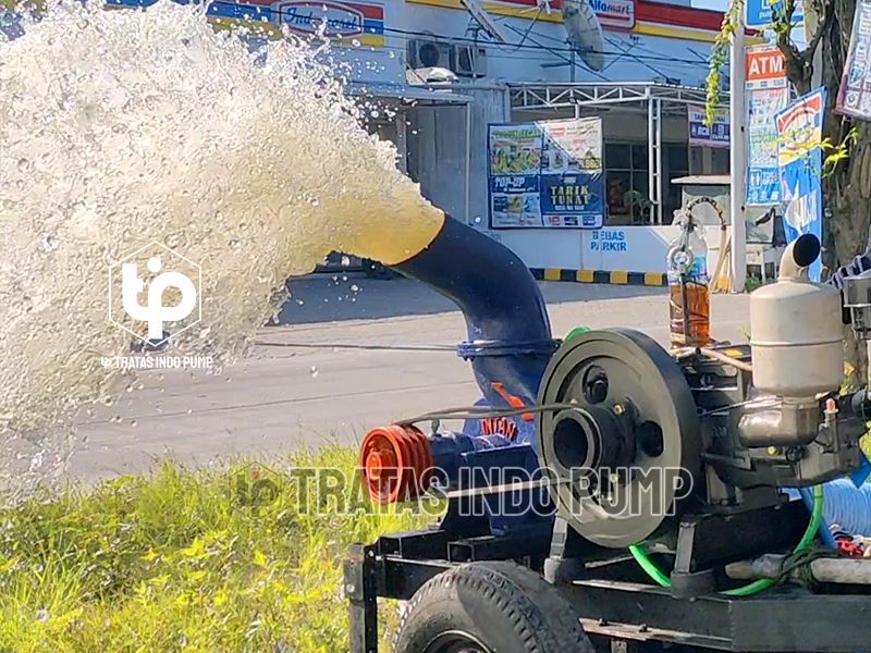 Pompa Air Intan untuk Kolam